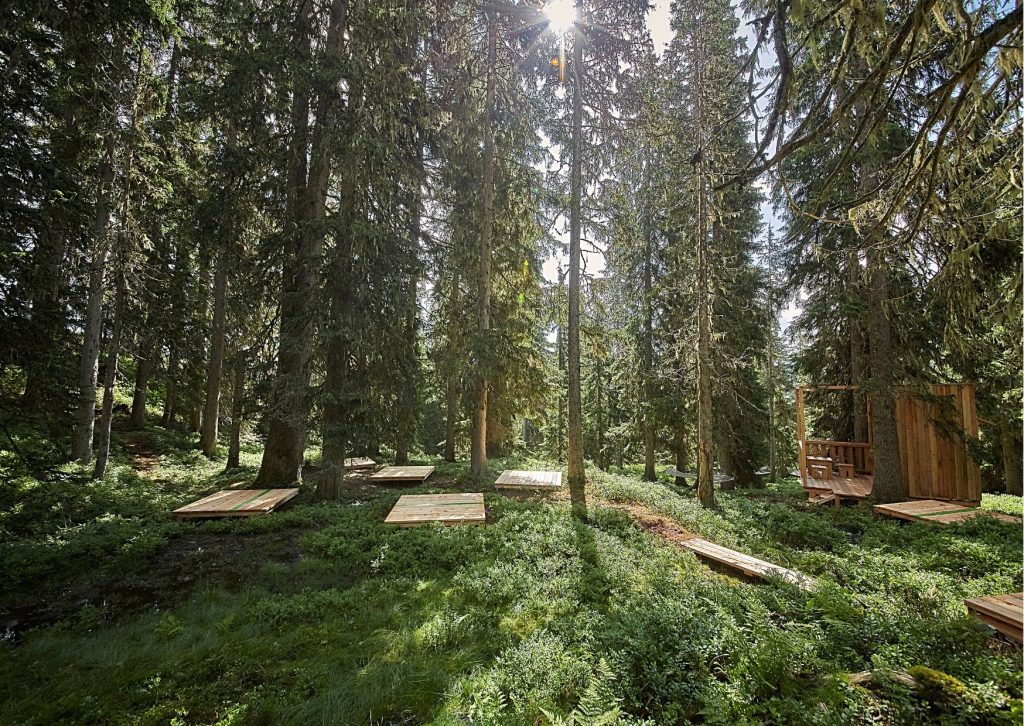 The Poolhouse Lodge-Waldwellness-©-saalbach.com–Daniel Roos